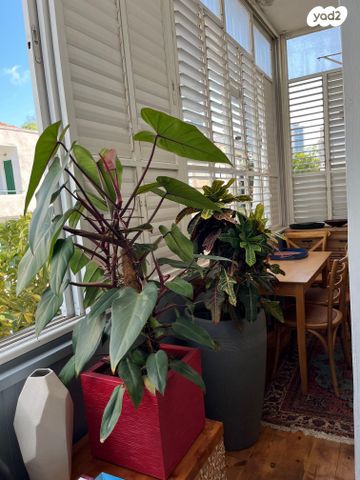 לב תל אביב, לב העיר צפון