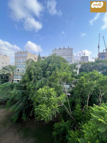 הצפון החדש - כיכר המדינה