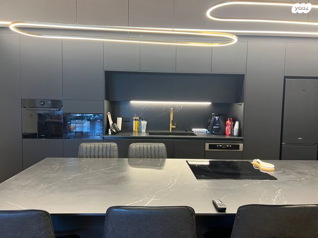 דופלקס, שדרות הרצל, נאות שמיר, יבנה