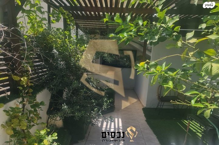 מעלה הזית 11