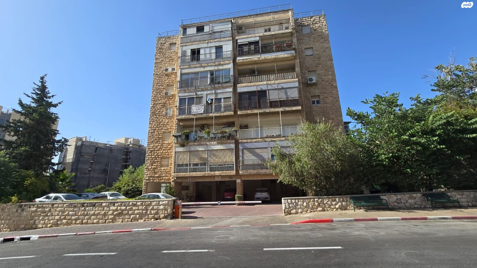 הארזים 16