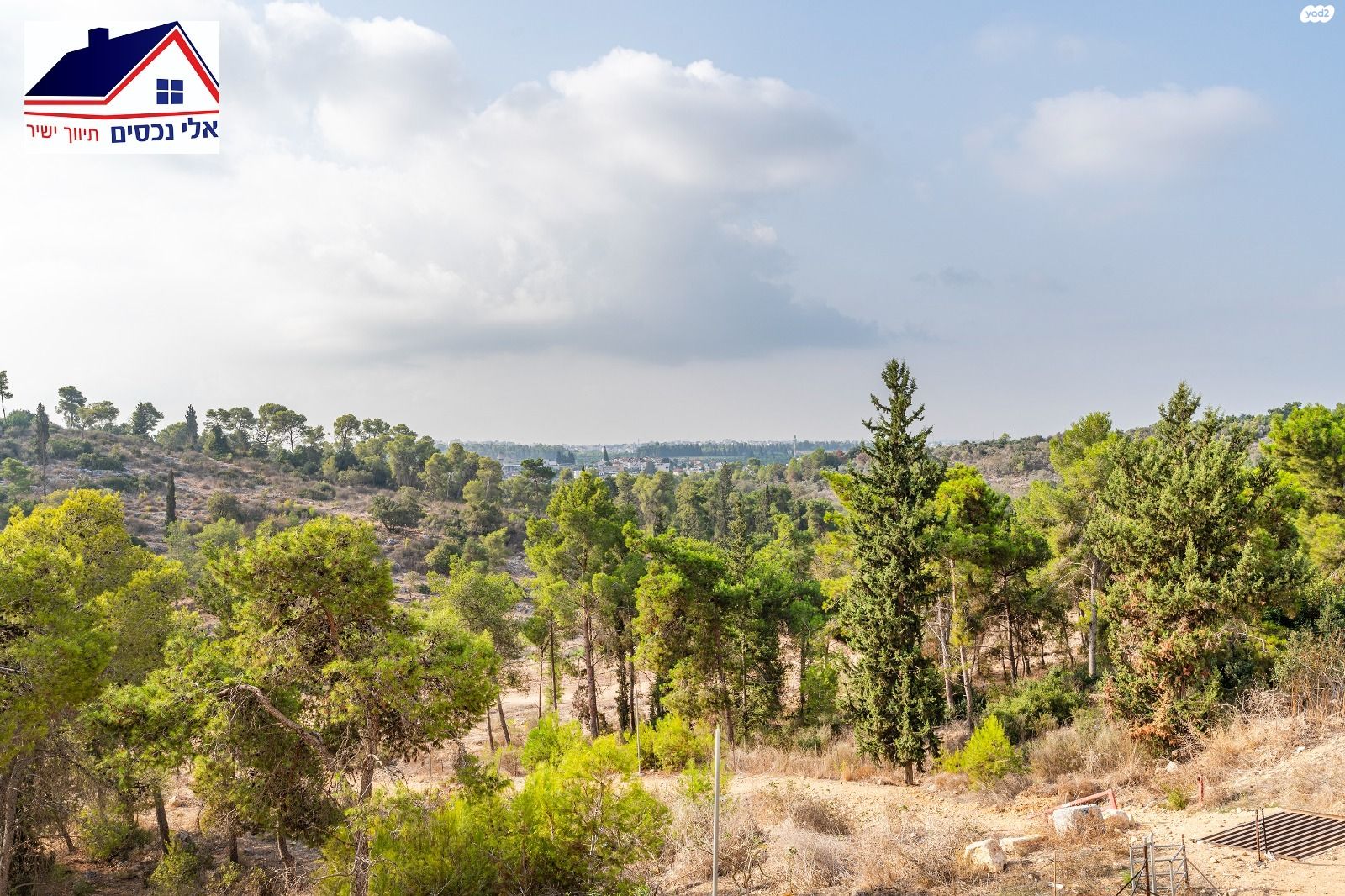 אורן 42