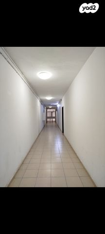 דוד וולפסון 24