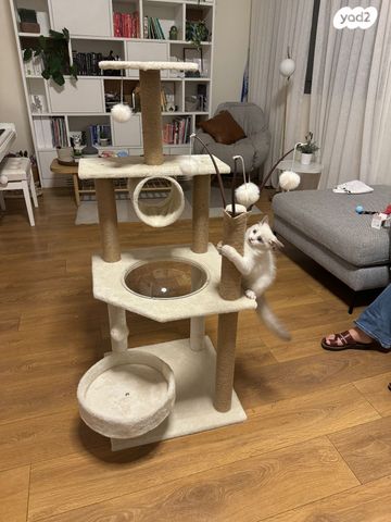 אביזרים | משחקים וצעצועים