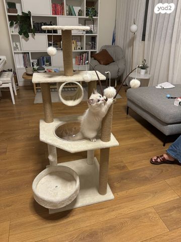 אביזרים | משחקים וצעצועים