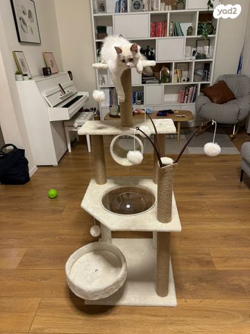 אביזרים | משחקים וצעצועים