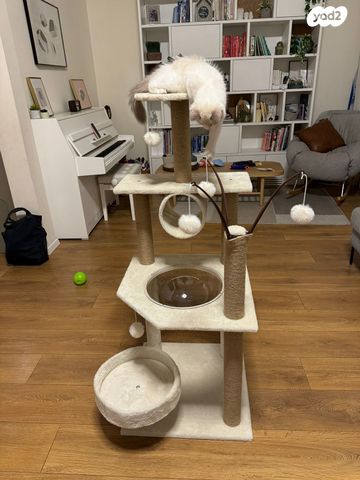 אביזרים | משחקים וצעצועים