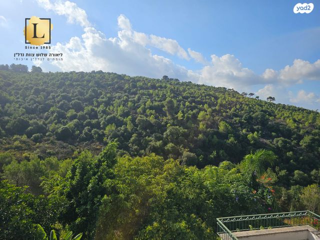 הוד הכרמל, דניה