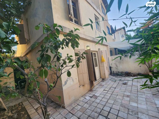 שביל היסמין 11