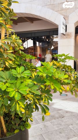 חנויות/ שטח מסחרי