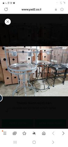 תמונת מודעה - חיות מחמד