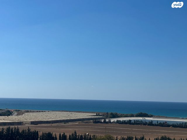 דירה, סיגלית, גלי כרמל, טירת כרמל