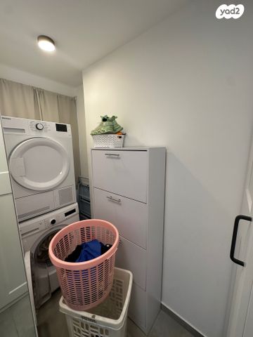 דירה, סיגלית, גלי כרמל, טירת כרמל