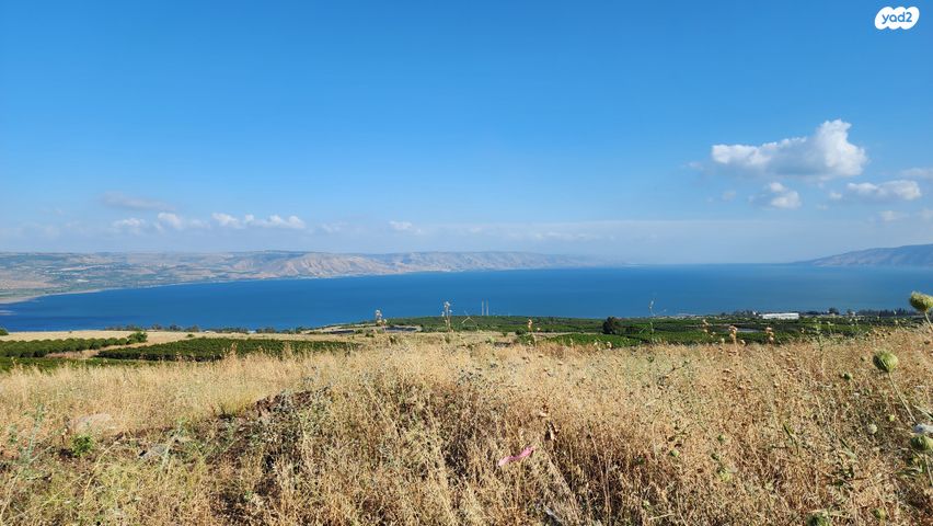 מגרשים