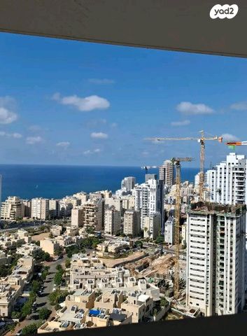 אמנון ליפקין שחק 