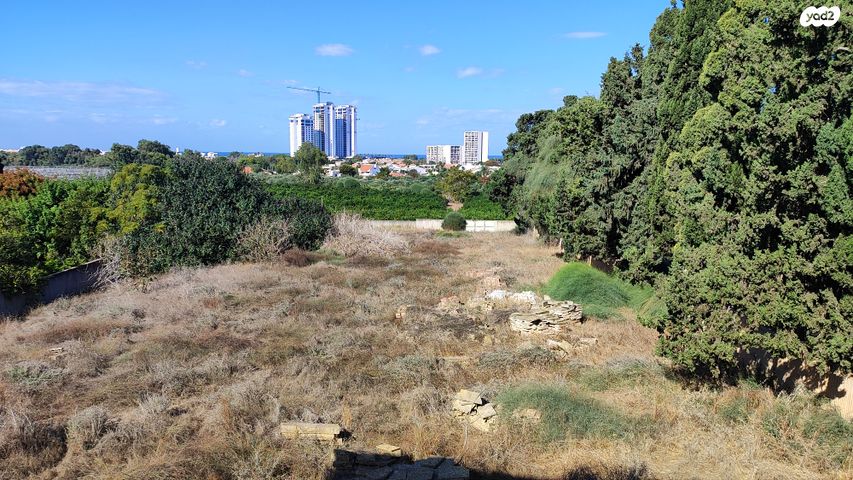 אביחיל