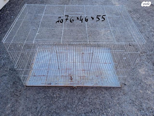 תמונת מודעה - חיות מחמד