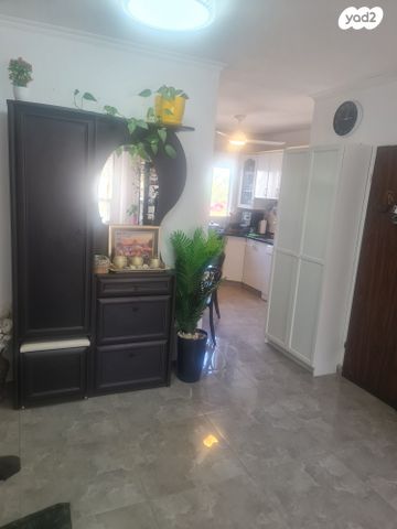 דירה, רמב"ם, כוכב הצפון, אשקלון