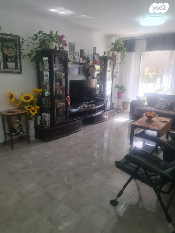 דירה, רמב"ם, כוכב הצפון, אשקלון