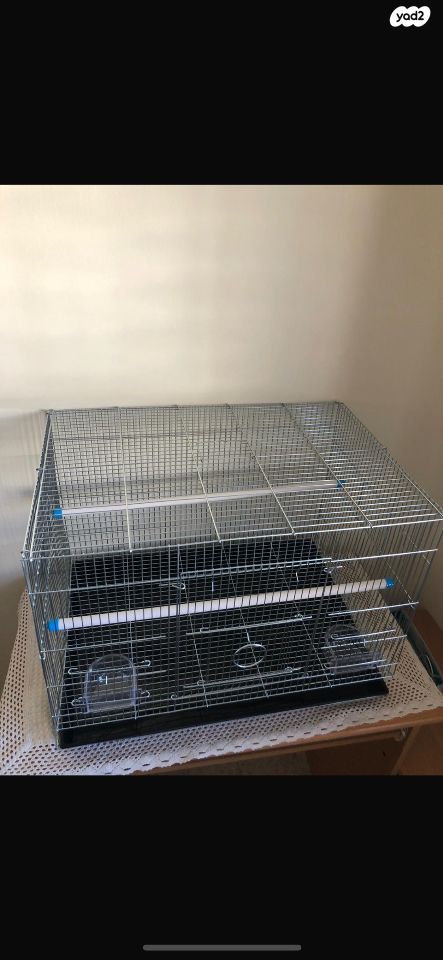 תמונת מודעה - חיות מחמד