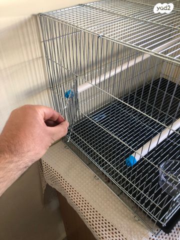 אביזרים | כלוב