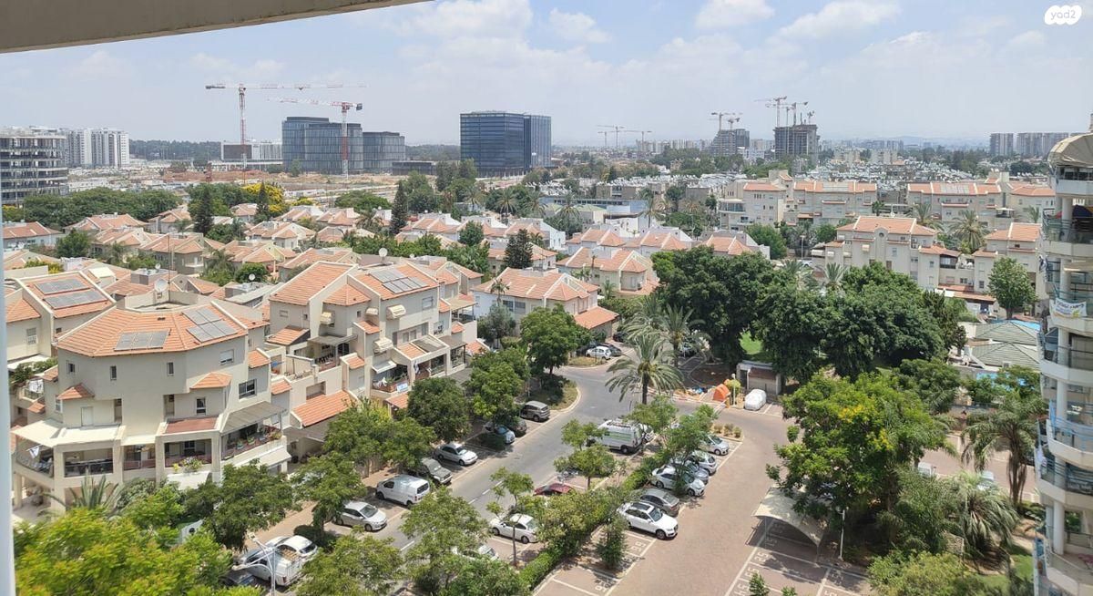 צאלון 8