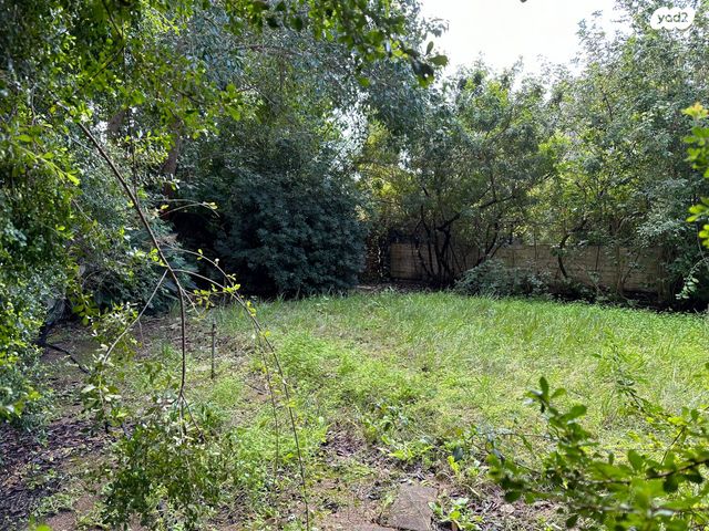 בית פרטי/ קוטג', תל ברוך, תל אביב יפו