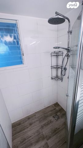 דירה, הפועל, חיפה