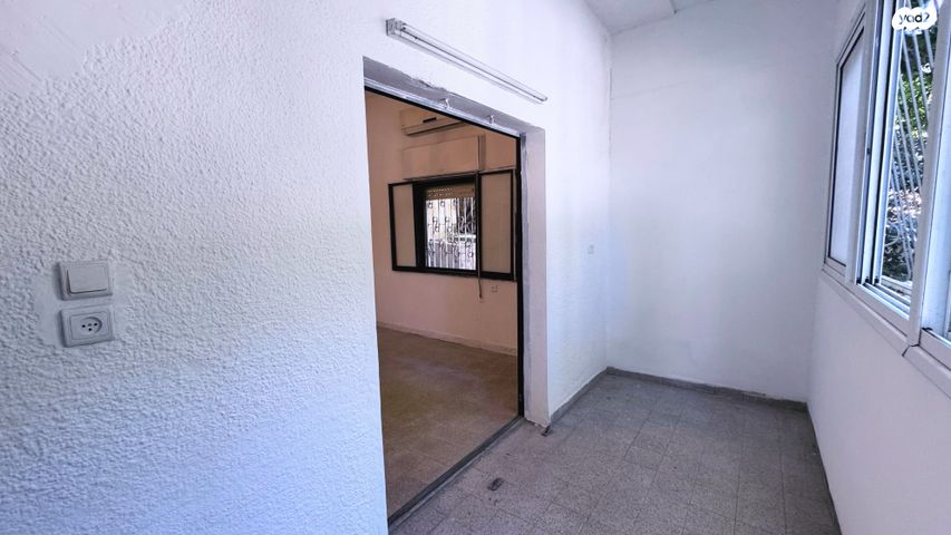 דירה, הפועל, חיפה