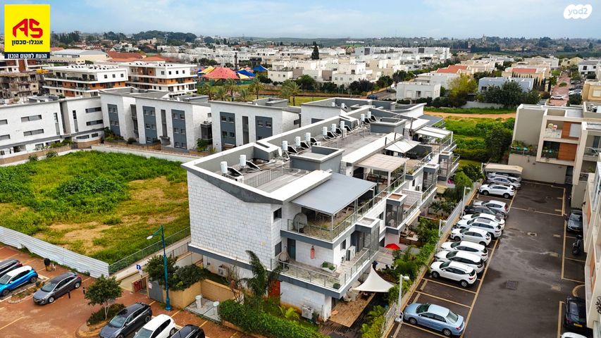 דירה, תל מונד