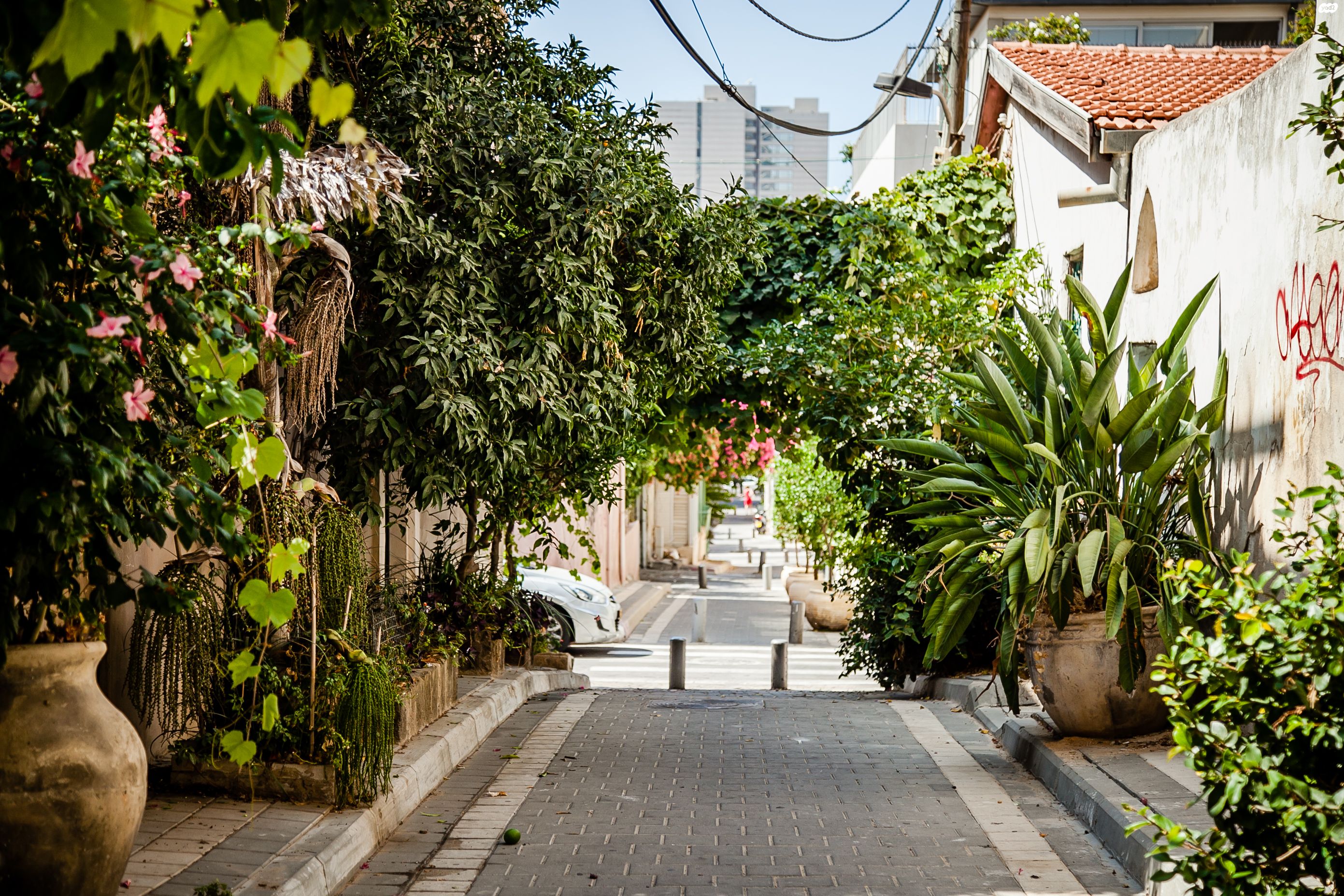 שלוש 