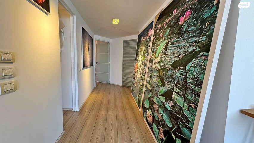 דירה, כצנלסון, בורוכוב, גבעתיים