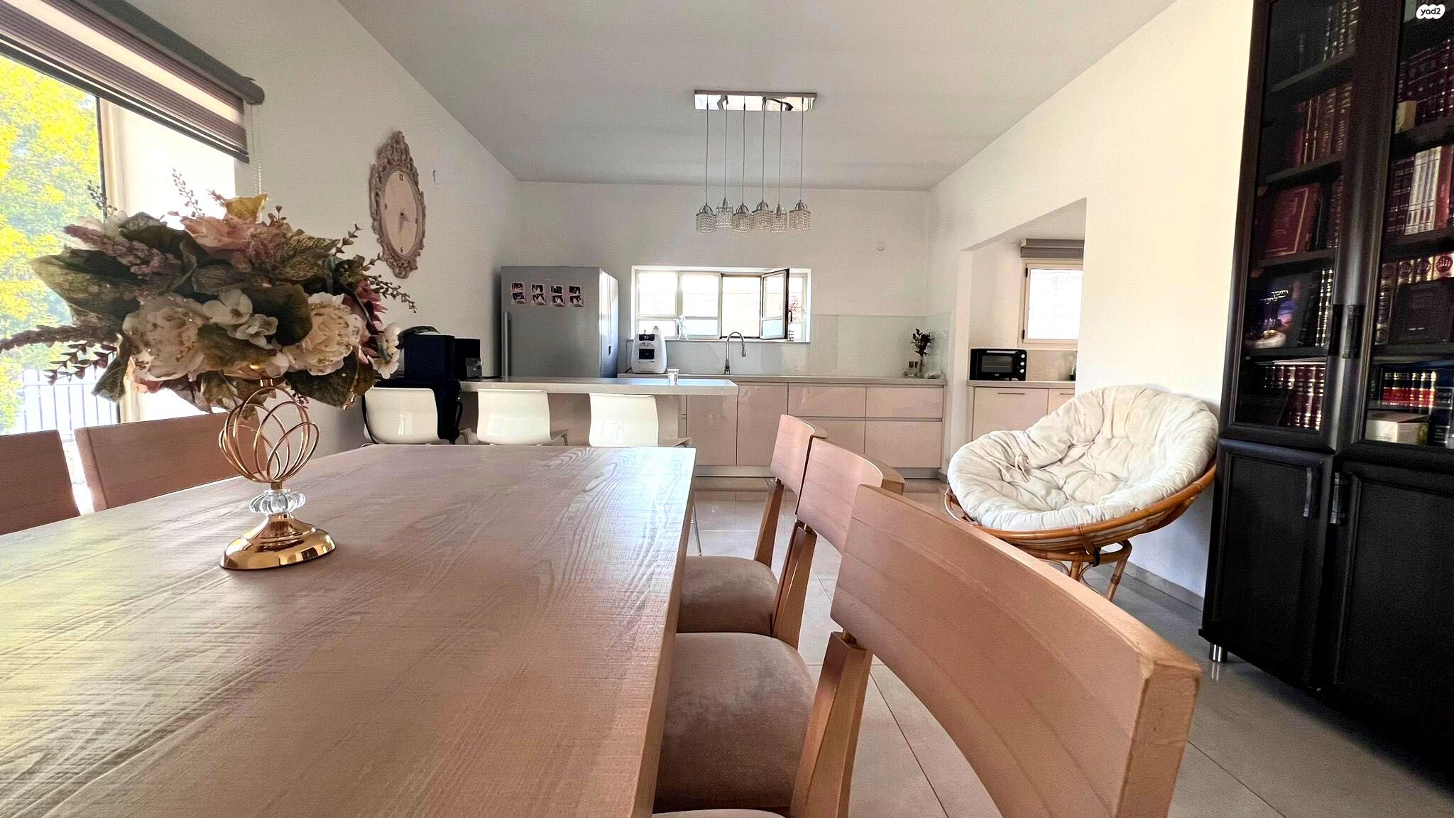אילנות