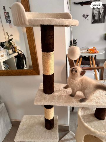 אביזרים | משחקים וצעצועים