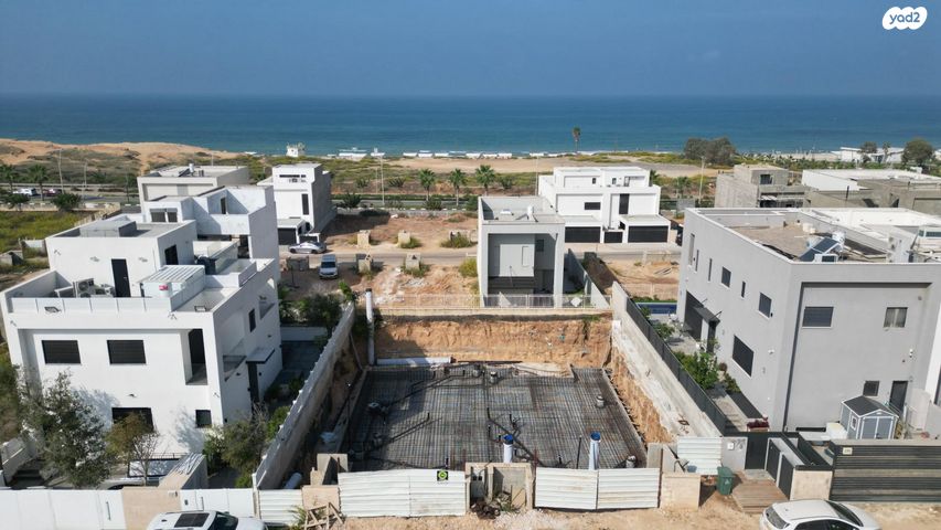 הדרדר 1
