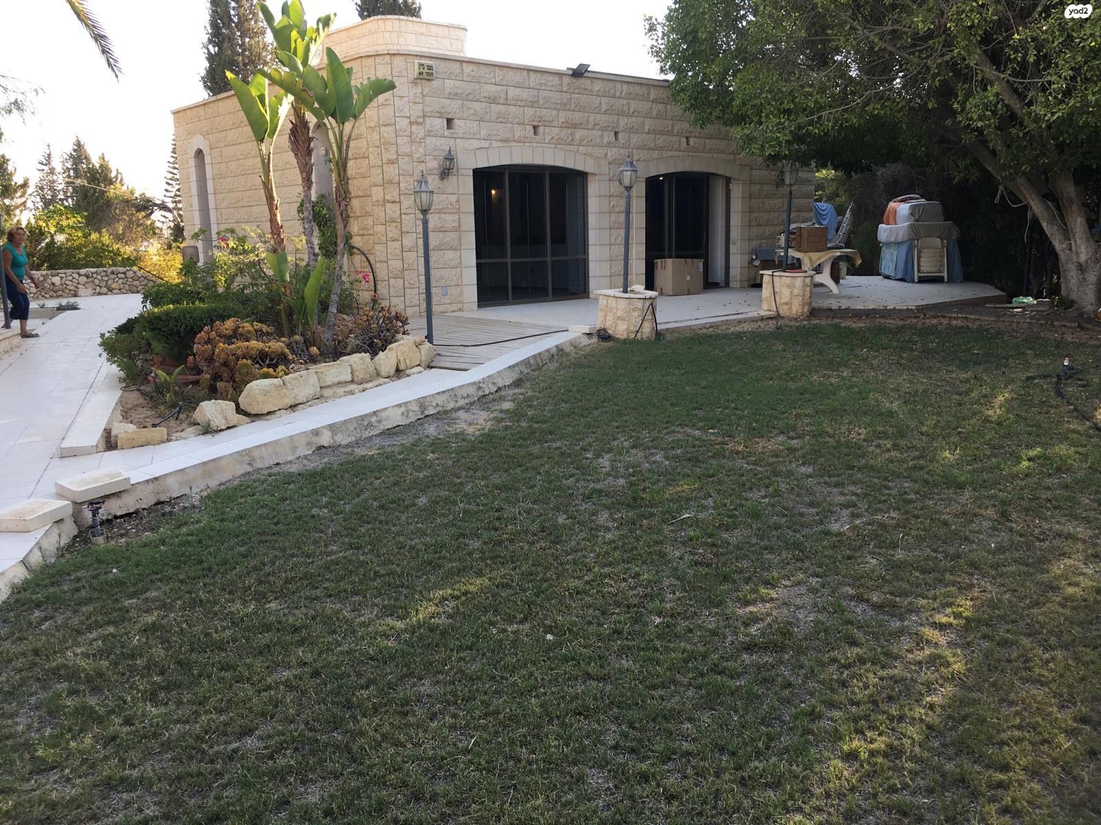 תמר 