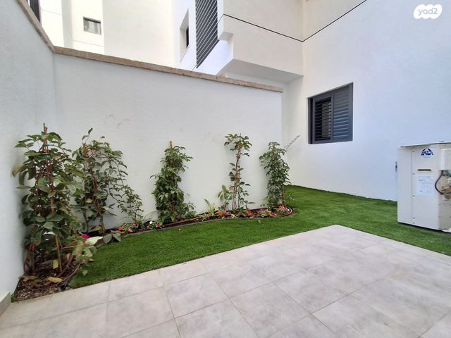 ד"ר בודנהיימר 