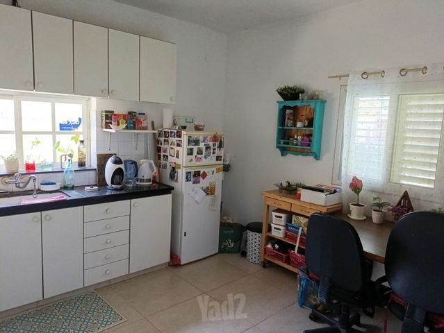 הרימונים 2