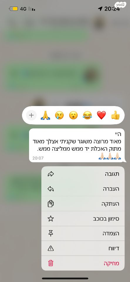 מכרסם סנאי מעופף \ שוגר