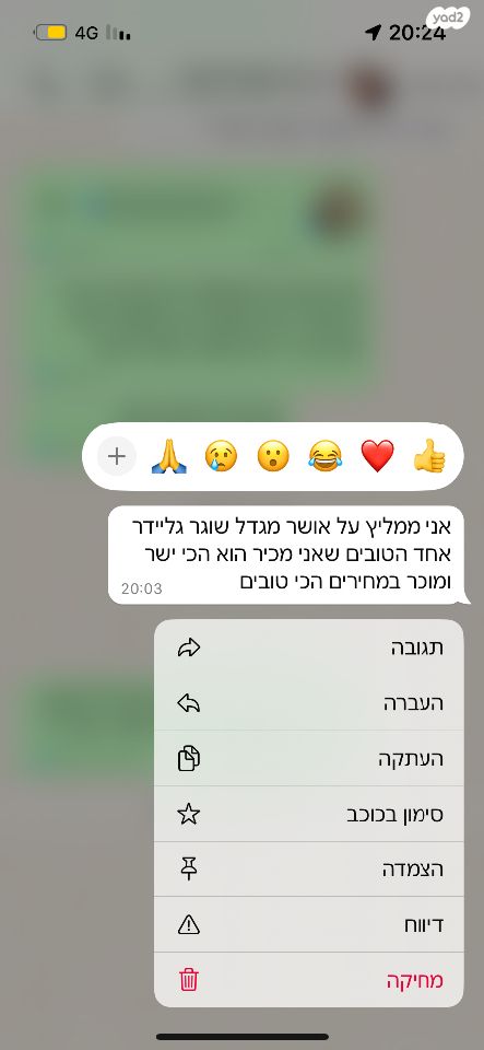 מכרסם סנאי מעופף \ שוגר