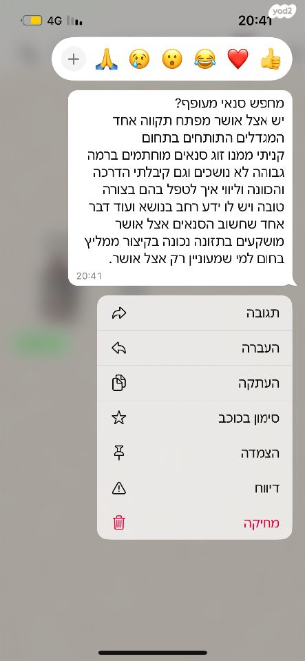 מכרסם סנאי מעופף \ שוגר