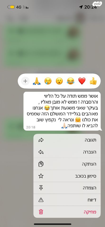 מכרסם סנאי מעופף \ שוגר