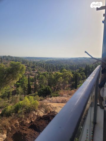 דירה, אורן, החורש, חריש