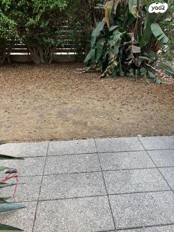 דו משפחתי, קהילת ז'יטומיר, תל אביב יפו