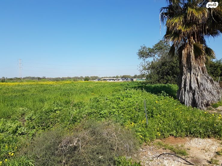 משק חקלאי/ נחלה