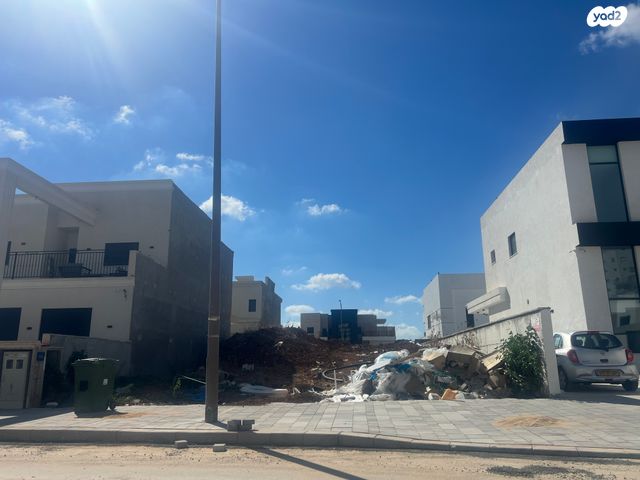 סשה ארגוב 11