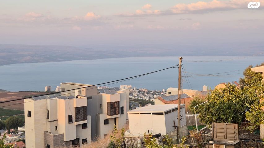 דוד אלעזר 
