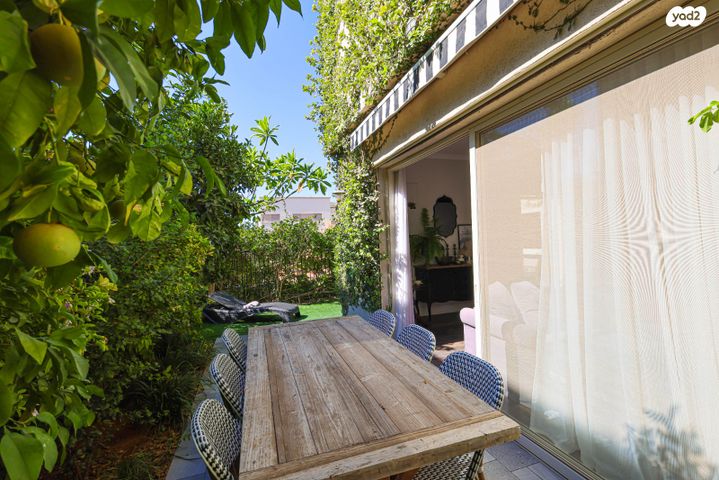 דו משפחתי, שבט דן, שאר העיר, קדימה צורן