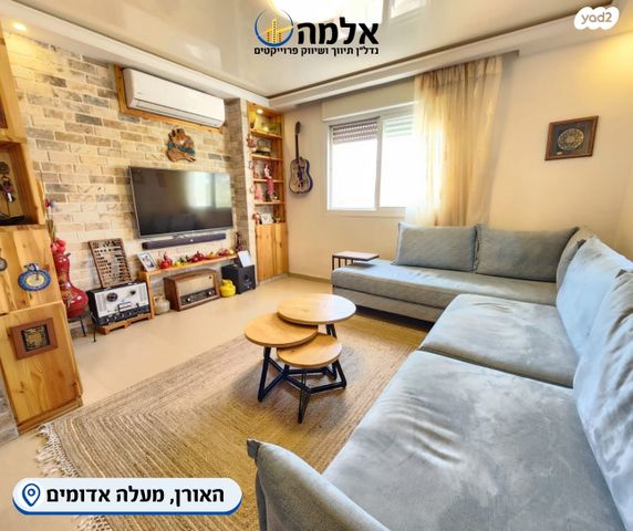 האורן 