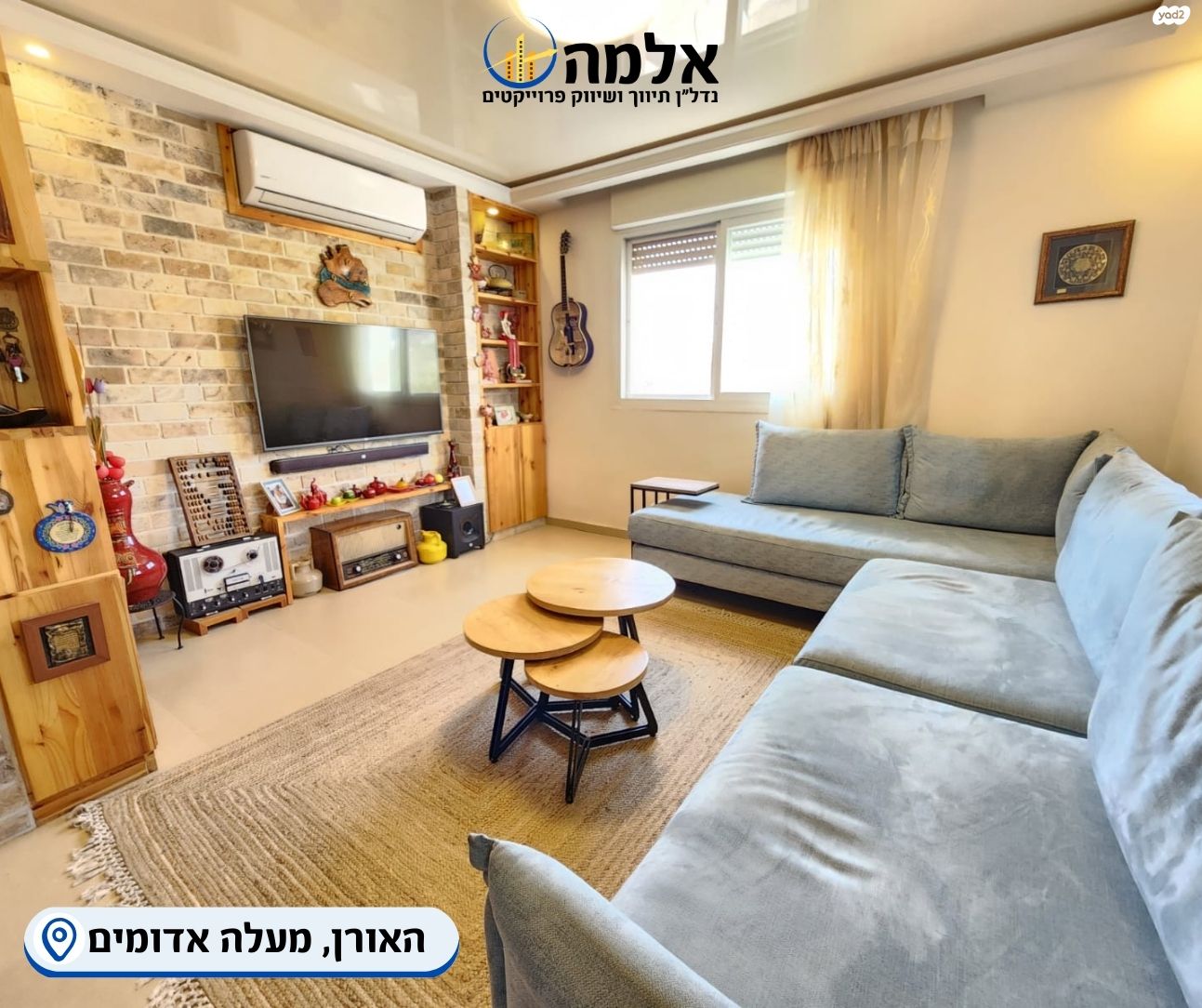 האורן 